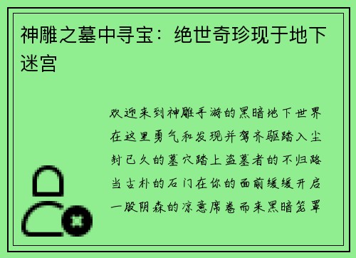神雕之墓中寻宝：绝世奇珍现于地下迷宫